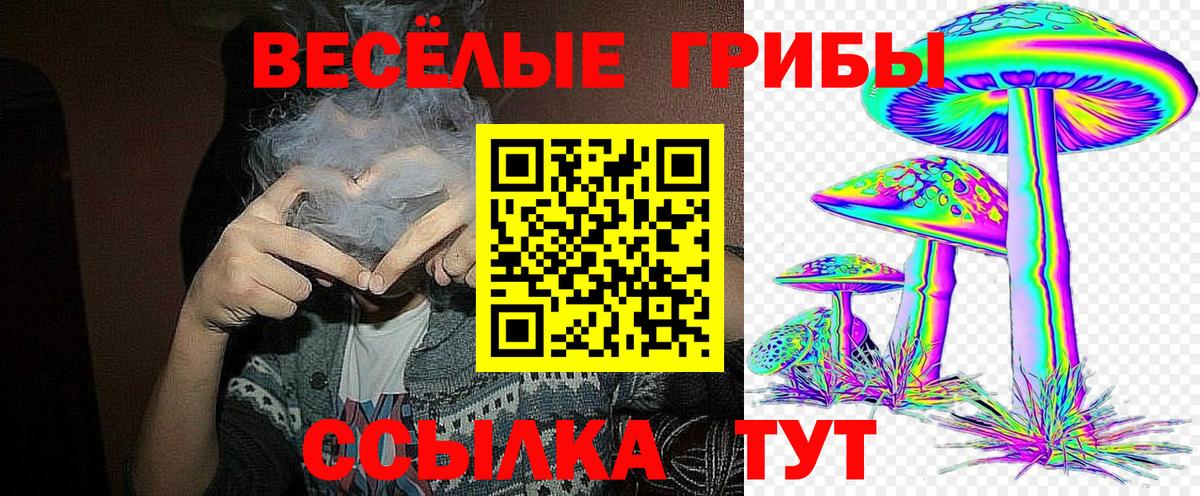 Сердобск  Псилоцибиновые грибы Psilocybe  Вход с VPN 
